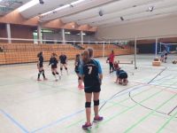 volley (16)